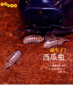 诞生了！西瓜虫