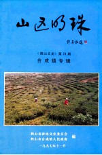 鹤山文史 第21期