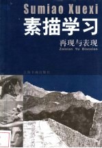 素描学习 再现与表现