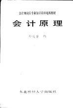 会计师岗位专业知识培训电视教材 会计原理