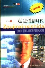 走进信息时代