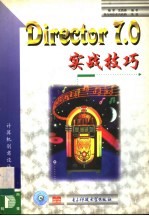 Director 7.0实战技巧