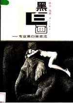 黑白画 专业黑白画技法