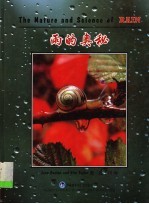 雨的奥秘 英汉对照