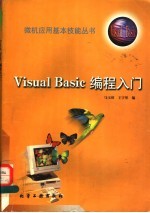 Visual Basic编程入门