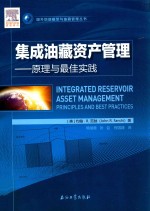 集成油藏资产管理 原理与最佳实践