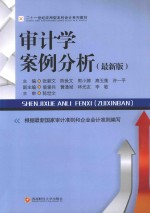 审计学案例分析 最新版