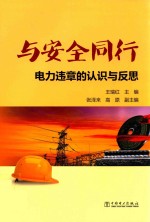 与安全同行 电力违章的认识与发展