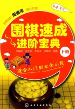 围棋速成进阶宝典 下