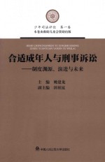 合适成年人与刑事诉讼 制度渊源、演进与未来