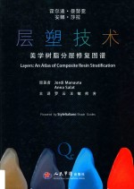 层塑技术 美学树脂分层修复图谱