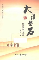 大漠磐石 南洁报告文学集