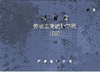河南省劳动工资统计年报 1980