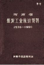 河南省煤炭工业统计资料 1976-1980