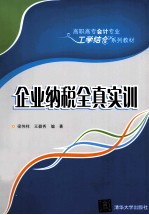 企业纳税全真实训
