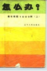怎么办? 青年难题1000解 上