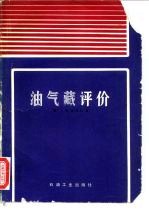 油气藏评价