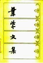 叶紫文集