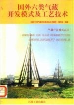 国外六类气藏开发模式及工艺技术