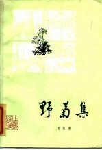野菊集