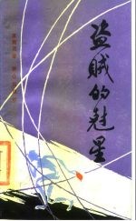 盗贼的岝星