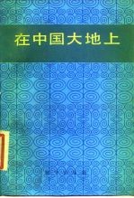 在中国大地上