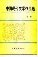 中国现代文学作品选