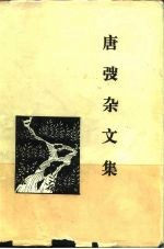 唐愭杂文集