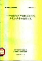 中一加科技合作交流资料 一种液相和两种液相在圆柱形多孔介质中的自然对流