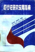 可行性研究实用指南