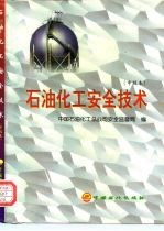 石油化工安全技术 中级本