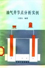 油气井节点分析实例
