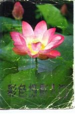 彩色摄影入门