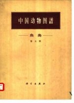 中国动物图谱 鱼类 第5册
