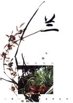 兰 中国画技法