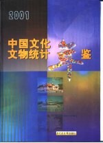 中国文化文物统计年鉴 2001