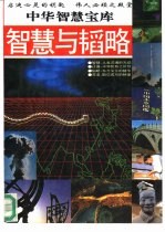智慧的语言