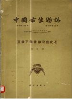 中国古生物志 总号第146册 新丁种第11号 巨猿下颌骨和牙齿化石