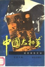 中国大“扫黄” 纪实报告文学