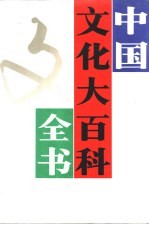 中国文化大百科全书 综合卷 下