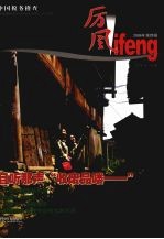 厉风 中国税务稽查 2006年第4辑