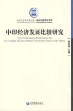 中印经济发展比较研究