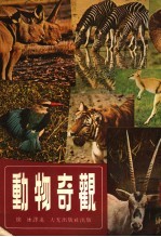 动物奇观