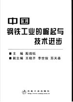 中国钢铁工业的崛起与技术进步