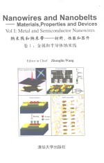 纳米线和纳米带:材料,性能和器件 卷1 金属和半导体纳米线