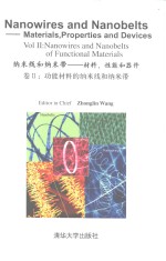 纳米线和纳米带:材料,性能和器件 卷2 功能材料的纳米线和纳米带