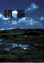 镜鉴:青海民族工作若干重大历史事件回顾