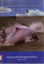 珠江口中华白海豚自然保护区综合科学考察报告 珠江口中华白海豚自然保护区建设总体规划 图集