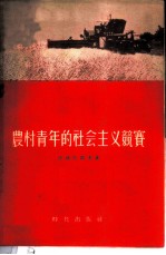 农村青年的社会主义竞赛
