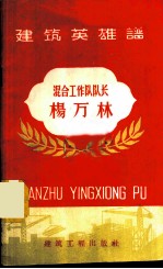 混合工作队队长杨万林